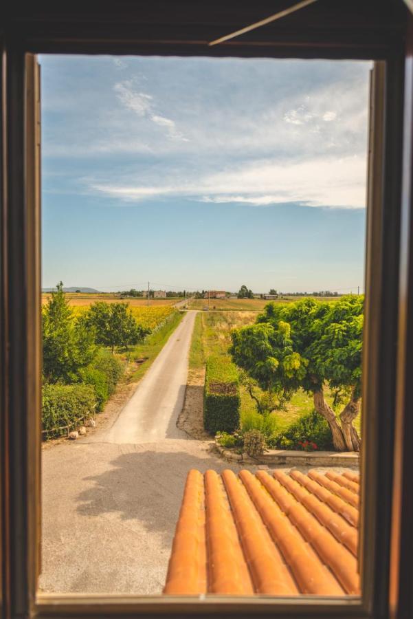 Farm stay Corte Degli Angeli