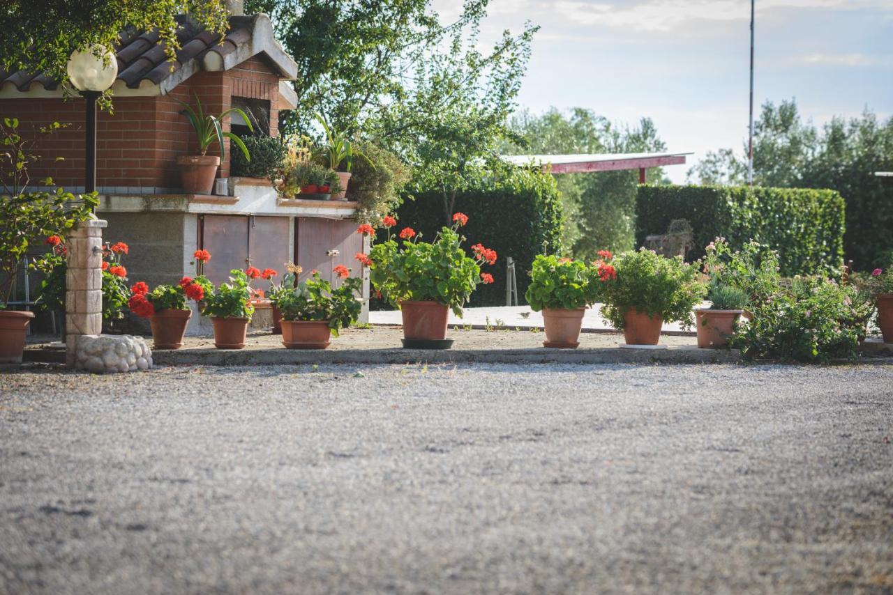 Farm stay Corte Degli Angeli
