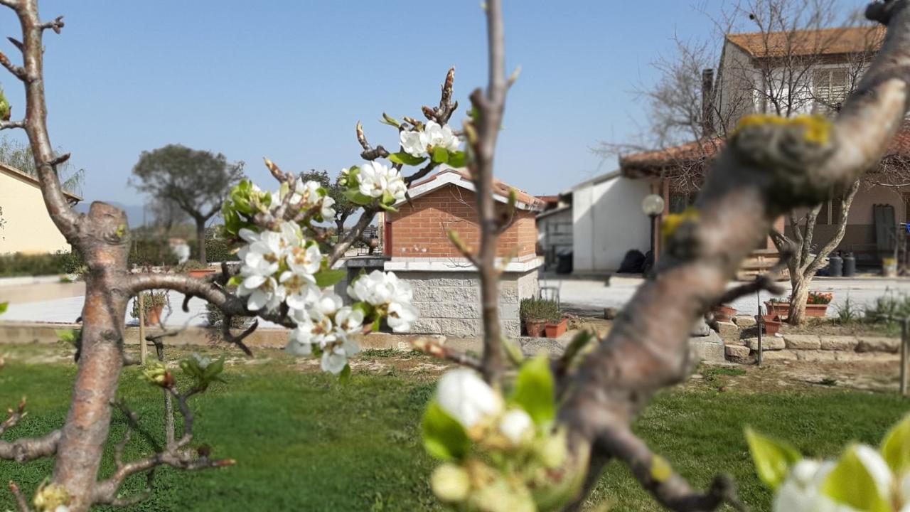 Corte Degli Angeli Bauernhof