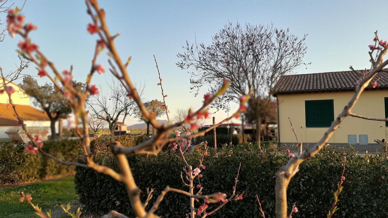 Vakantieboerderij Corte Degli Angeli
