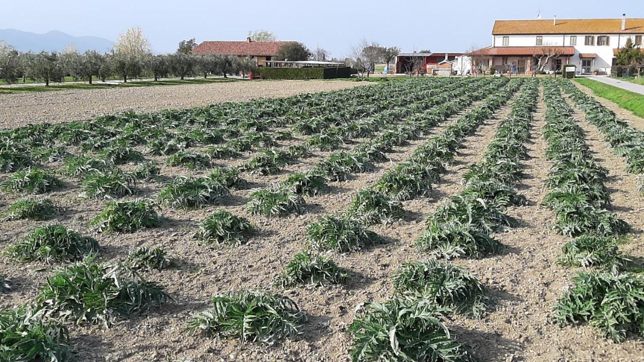 Vakantieboerderij Corte Degli Angeli