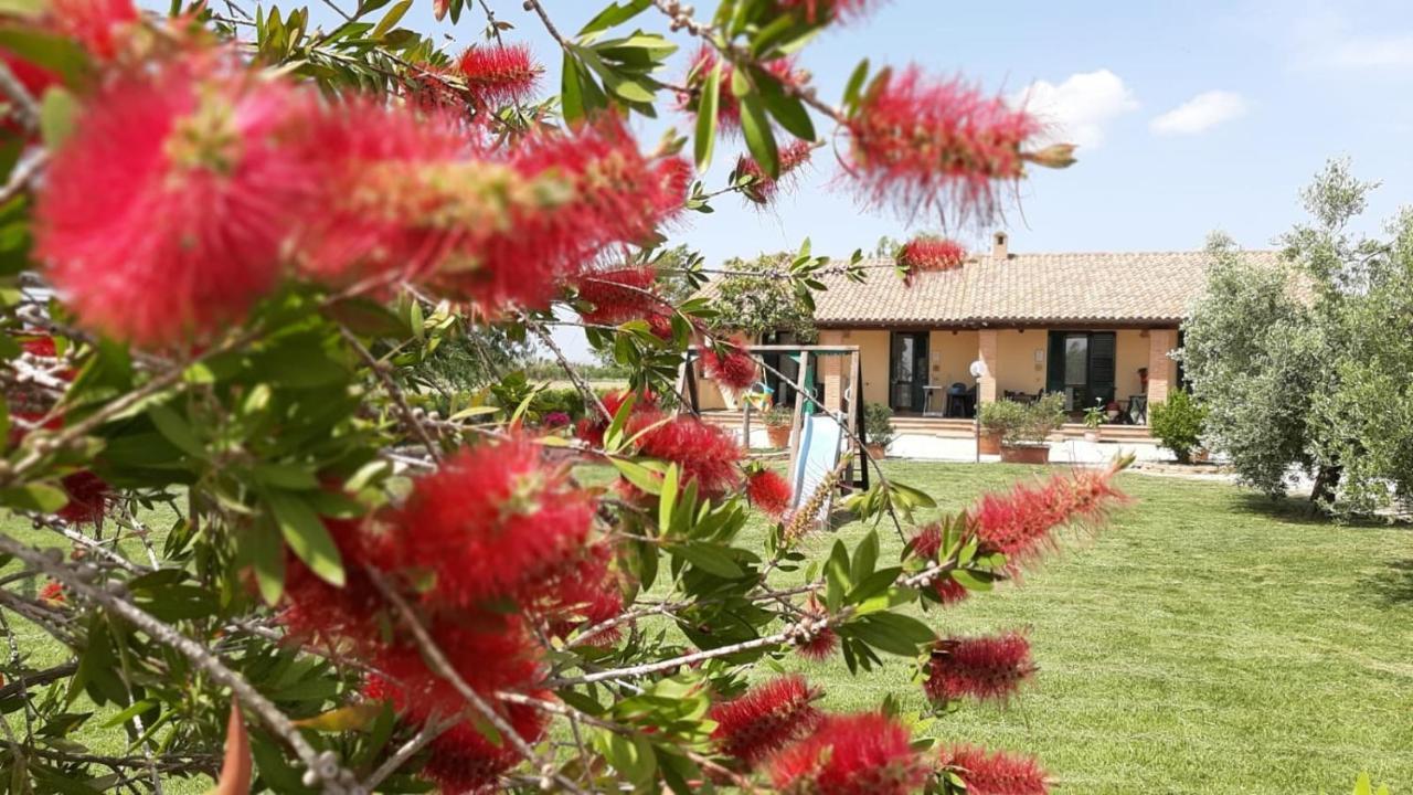 Vakantieboerderij Corte Degli Angeli Marina di Grosseto